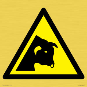 W034 Warning: Bull